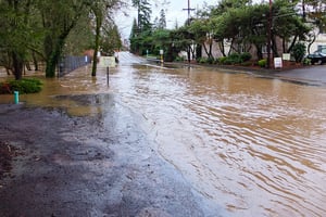 Fanno Creek Flooding in Portland, OR - Tom Good