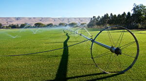 Wastewater Field Irrigation with Recycled Water