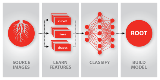 WinCan Convolutional Neural Network